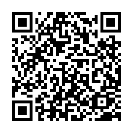 QR code for 220COP