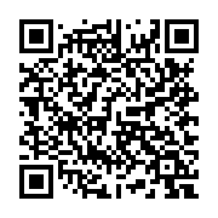 QR code for 225-HZL