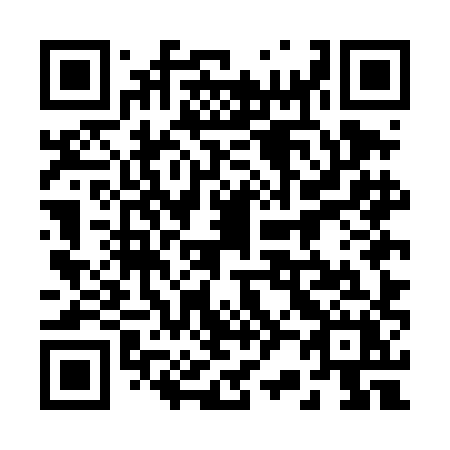 QR code for plate 225-DHX
