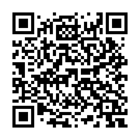 QR code for 228-BTP