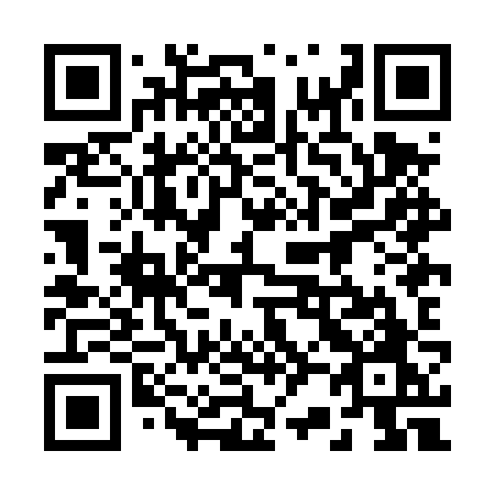QR code for 228-DZO