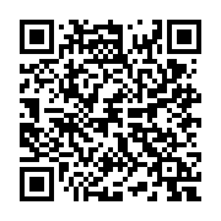 QR code for plate 228-FGA