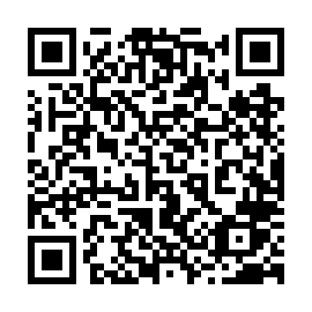 QR code for plate 234-WLR