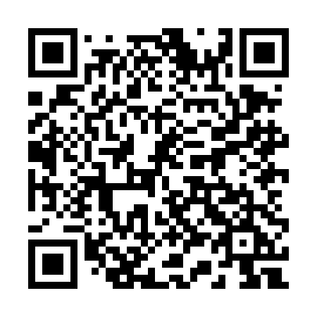 QR code for plate 238-DDE