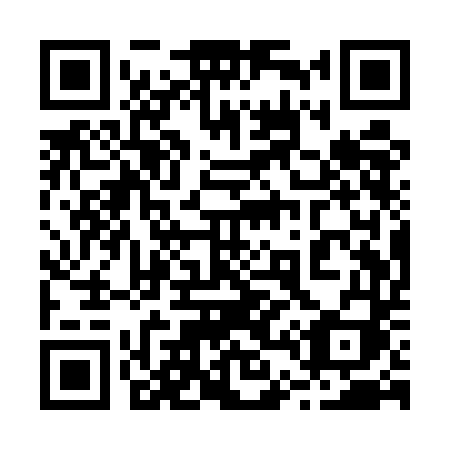 QR code for 241UDI