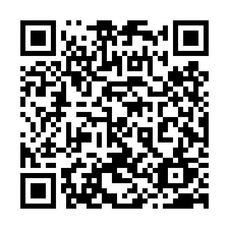 QR code for 244-DST