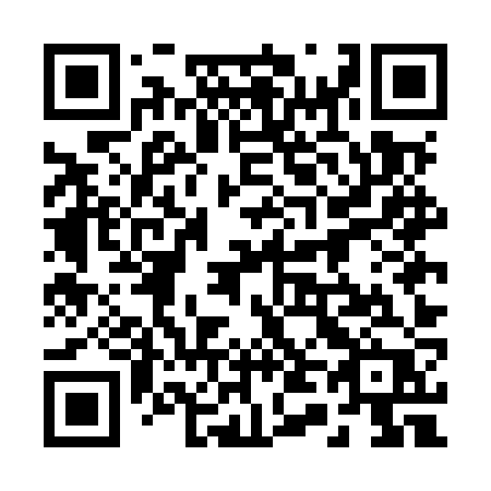 QR code for plate 245-MZP