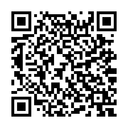 QR code for 246-PAX