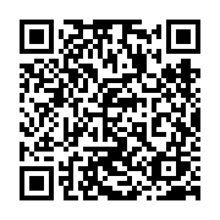 QR code for plate 246-VGS