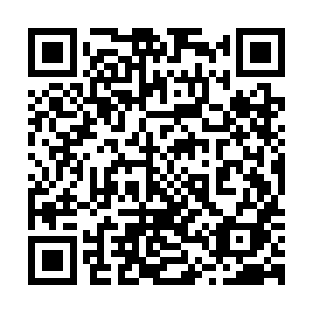 QR code for 249CHI