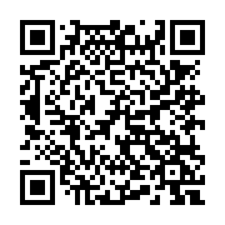 QR code for plate 249-NLG