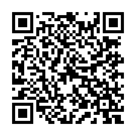 QR code for 251-LLM