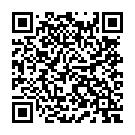 QR code for plate 252-LZJ