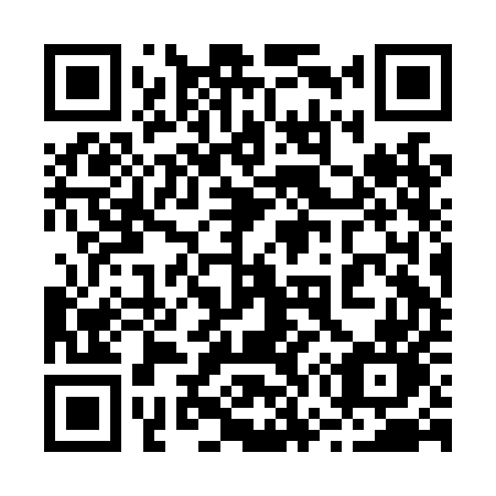 QR code for plate 272-LEN