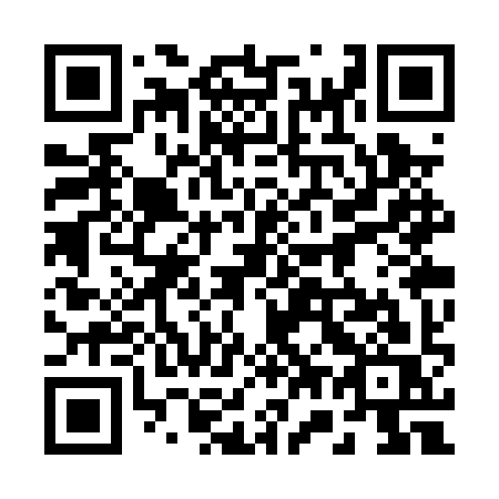 QR code for 273-PYS