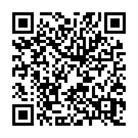 QR code for plate 285-NTT
