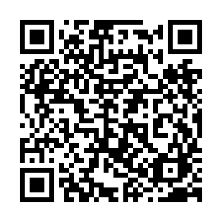 QR code for plate 289-NIC