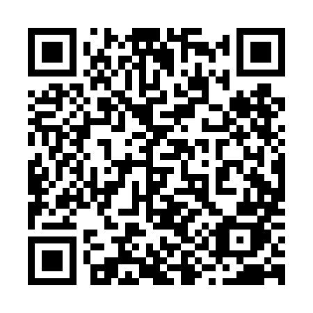 QR code for 290-DMJ