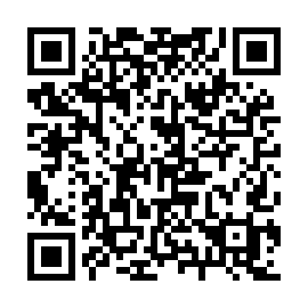 QR code for 290MEI
