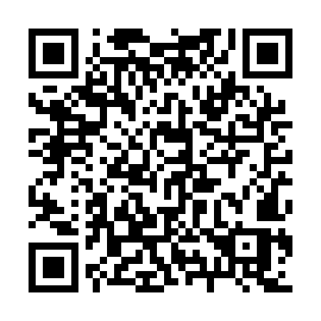 QR code for plate 290-QMS