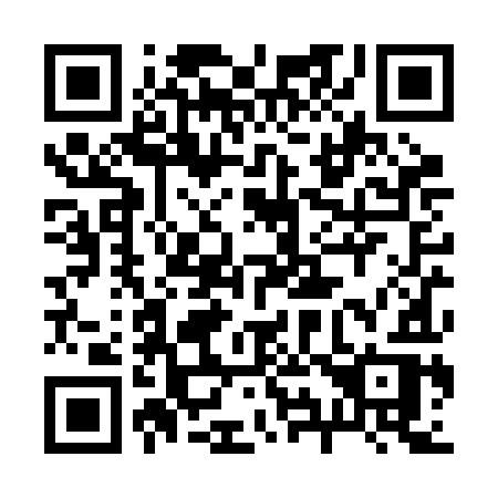 QR code for plate 290-RIR