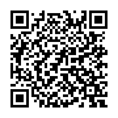 QR code for plate 291-OOW
