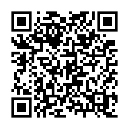 QR code for plate 291-WCH