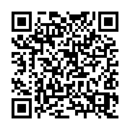 QR code for plate 291-XIS