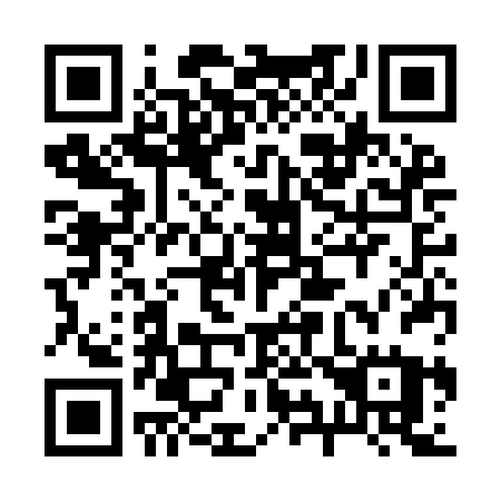 QR code for 293IBU