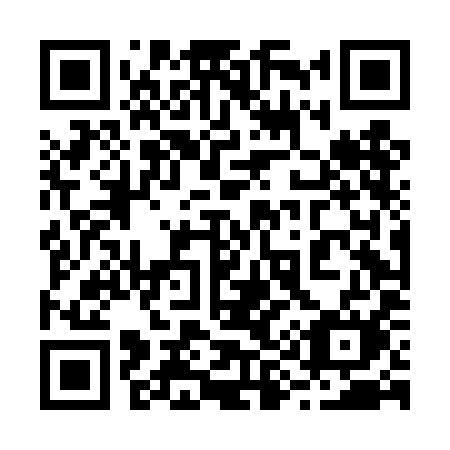 QR code for 294DIM