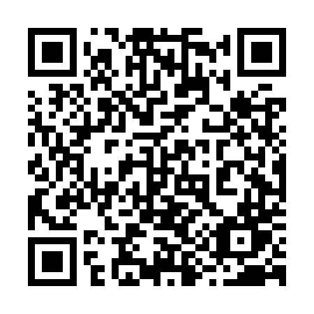 QR code for plate 294-KTT