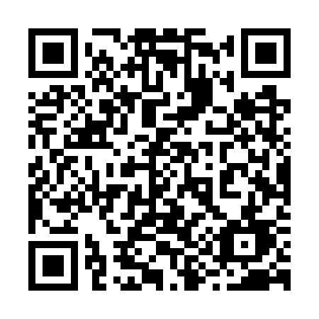 QR code for plate 294-WSD