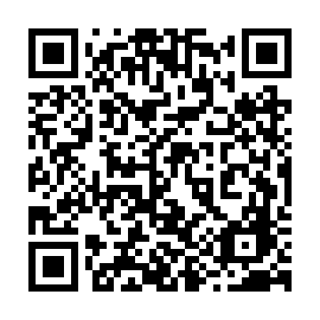 QR code for 295-BVG