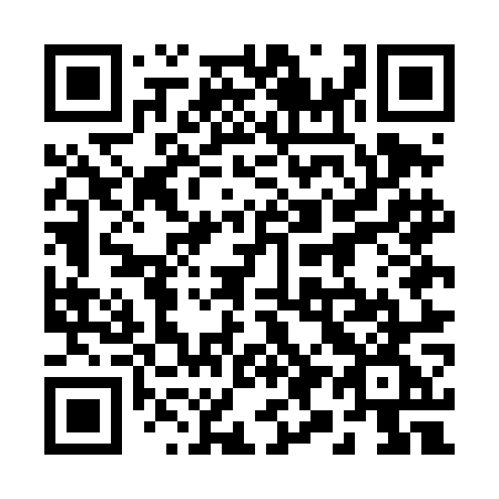 QR code for 295-DOG