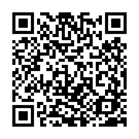 QR code for 295-DTK