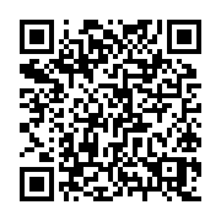 QR code for 295-JYP