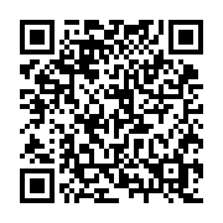 QR code for 295-KGL