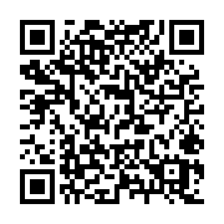 QR code for 295-LMU