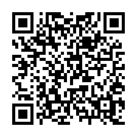 QR code for 295-MUL