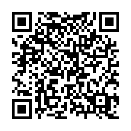 QR code for 295-QBD