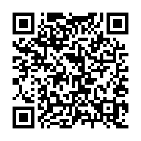 QR code for 295-QUI