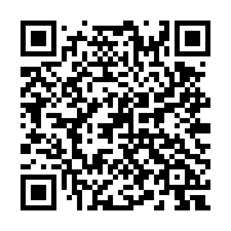 QR code for 295-TPF