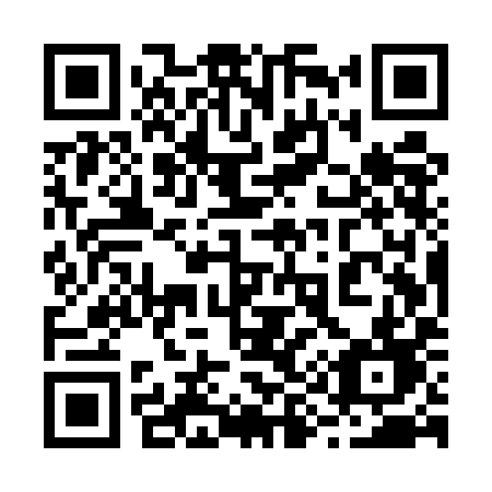 QR code for 295-UID