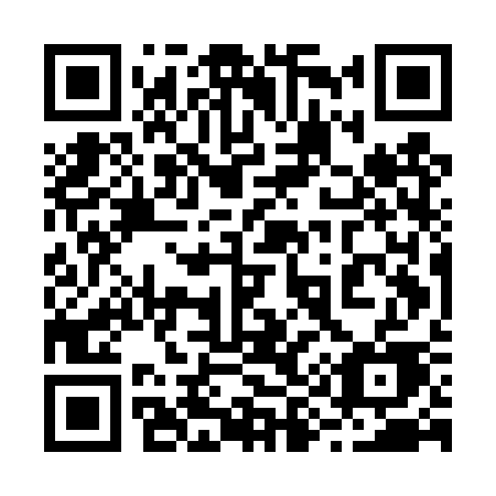 QR code for 295DSE