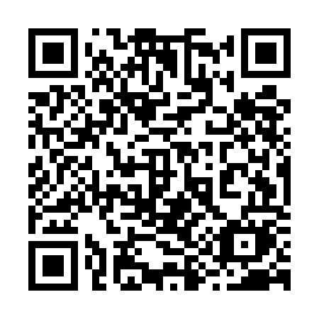 QR code for 295EOM