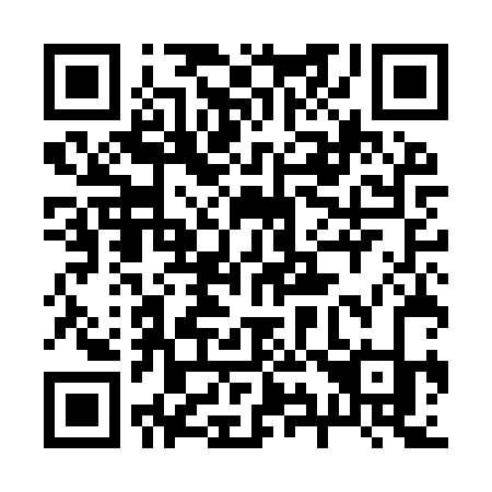 QR code for plate 295-IRK