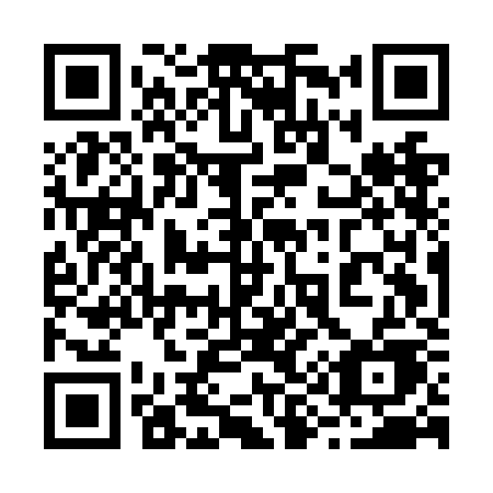 QR code for 295NKE