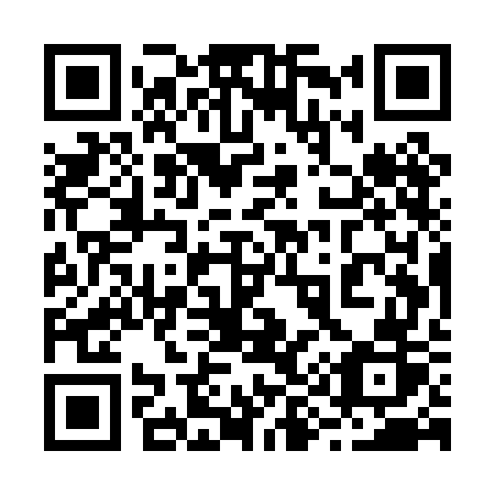 QR code for 295PGR