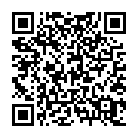 QR code for plate 295-PTE