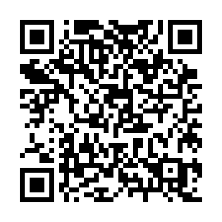QR code for plate 295-SJC